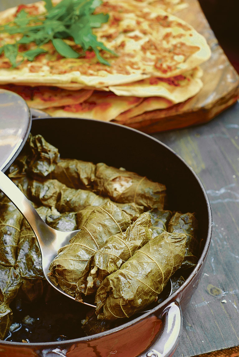 sarma-na-3-st-shtr.bin