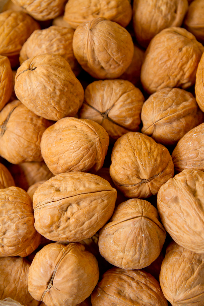 shutterstock_111524153.bin