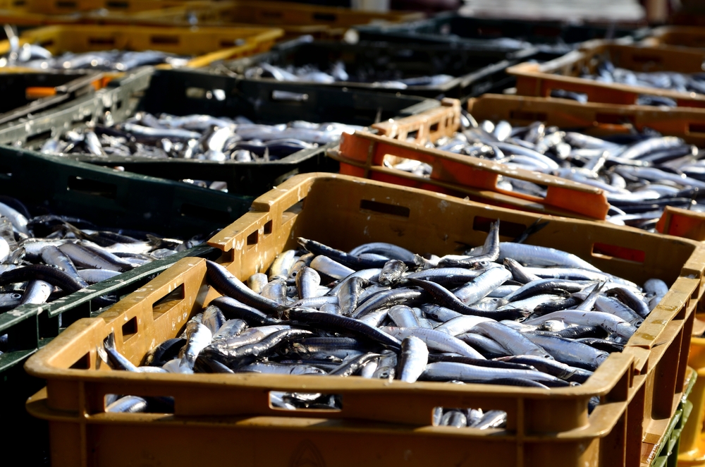 shutterstock_115415041.bin