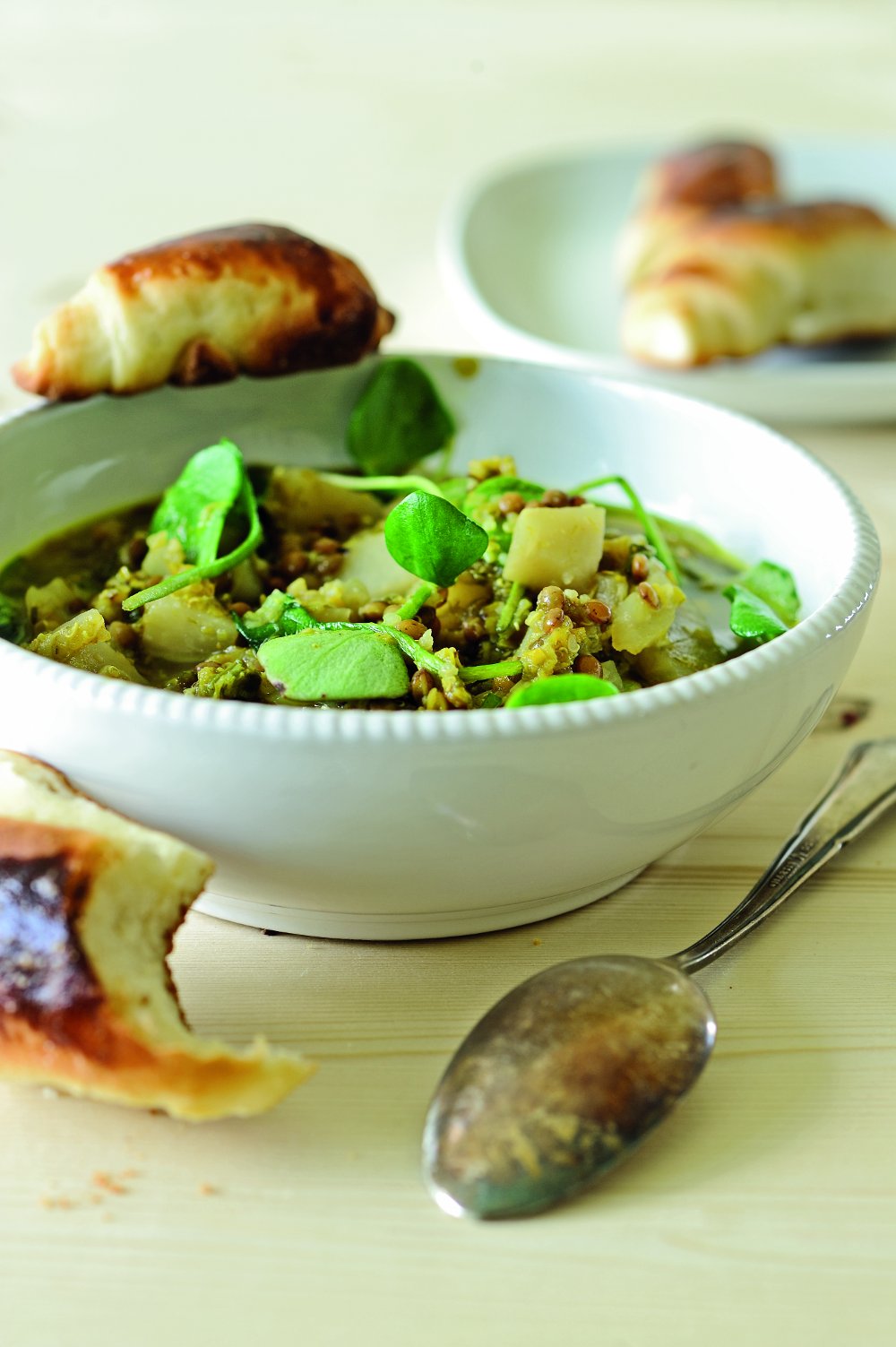 zeleno-proljetno-varivo.bin