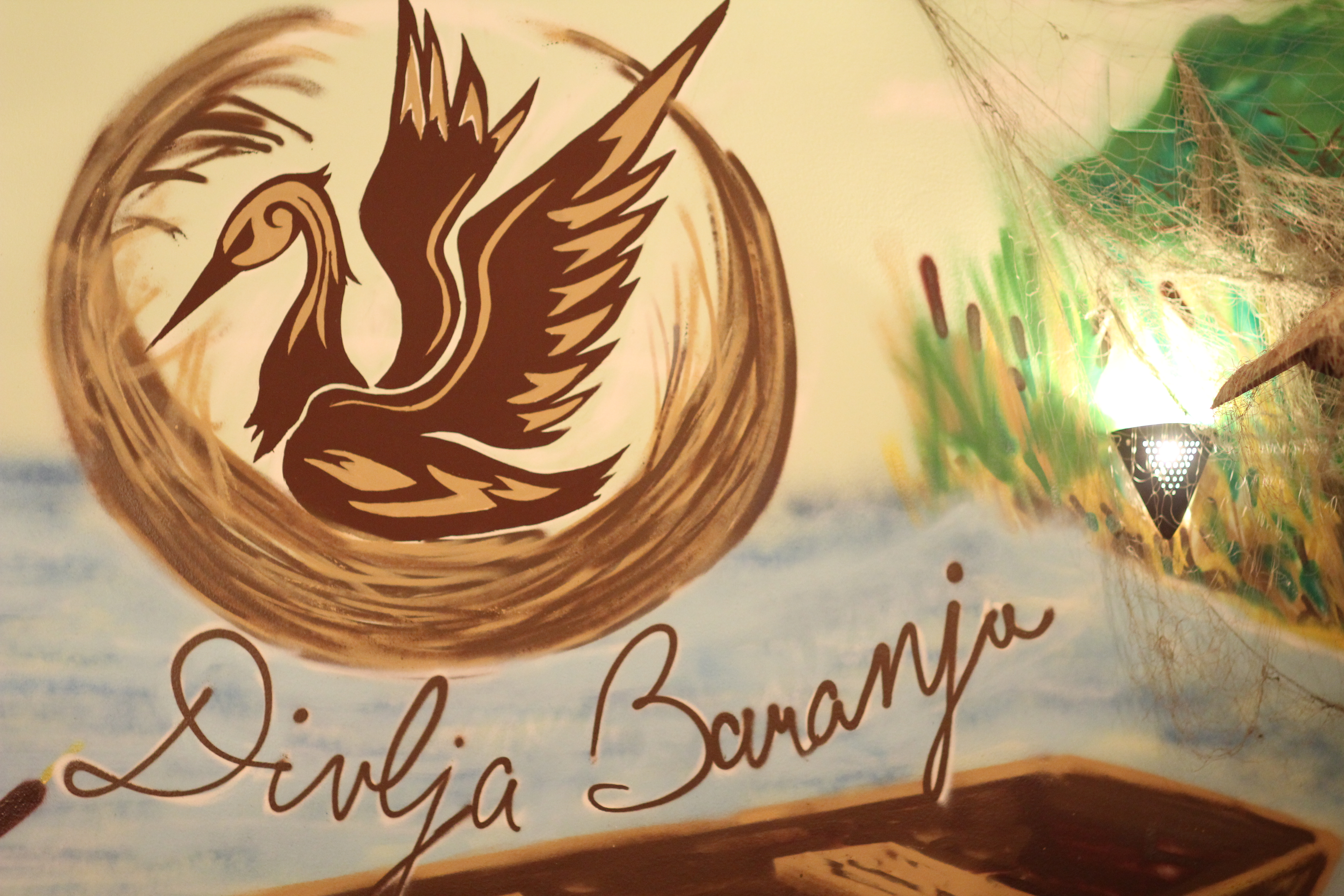 divlja-baranja-1.bin