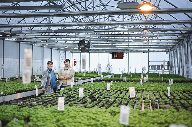 gdje-raste-hrana.bin