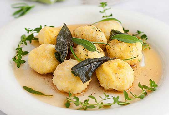 gnudi.bin