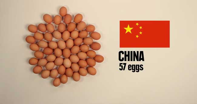 hrana-za-pet-dolara-feat.bin