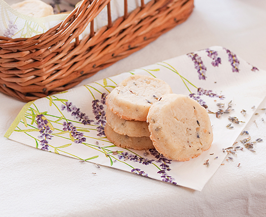 olympus-digital-camera-3.bin