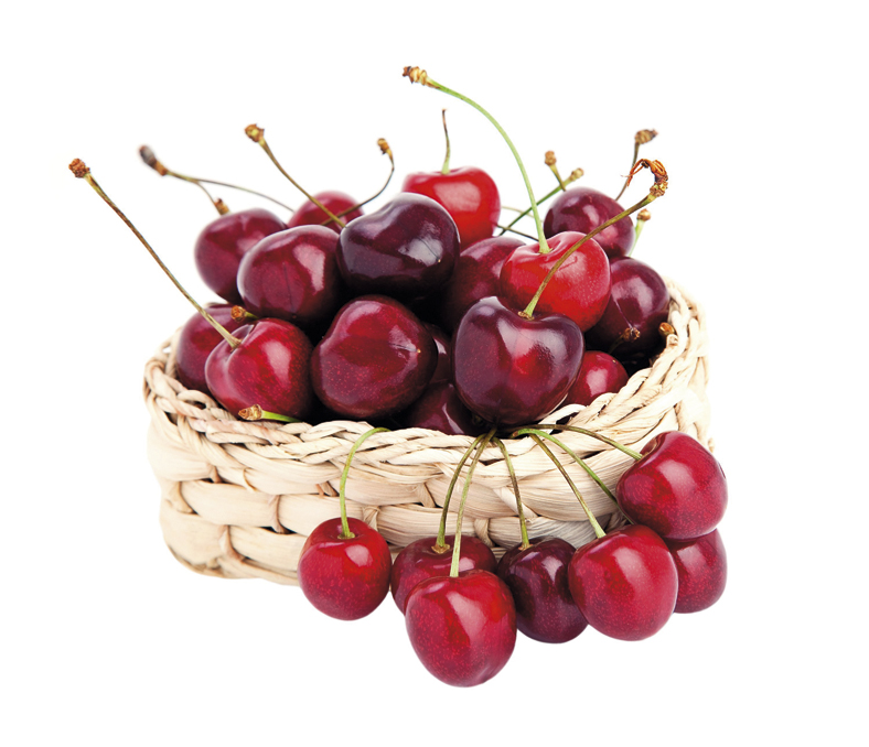 shutterstock_74782048.bin