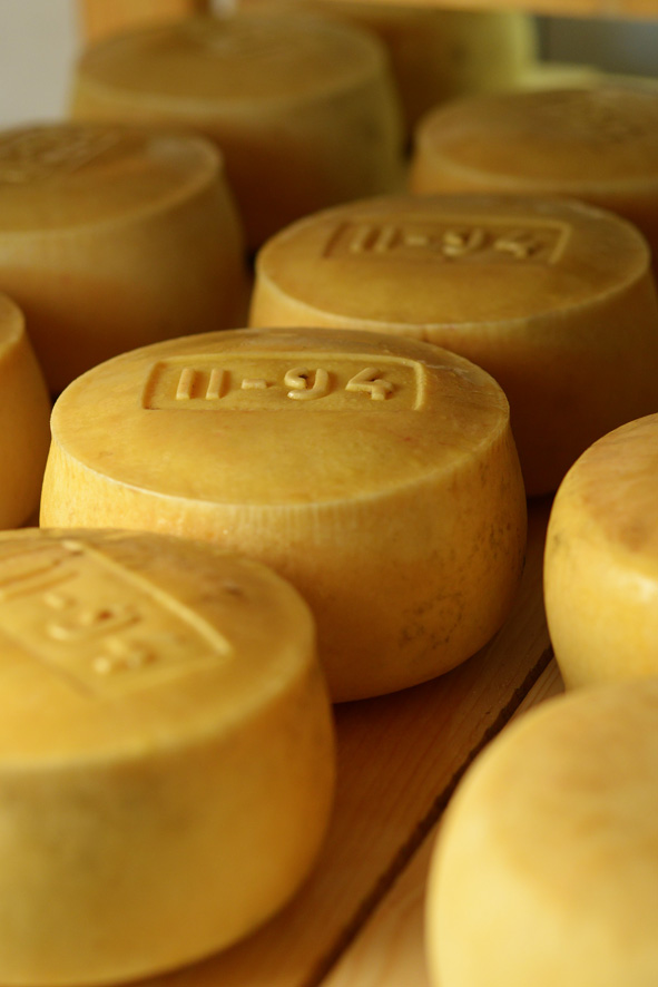 sir-vidas-na-4-st.bin