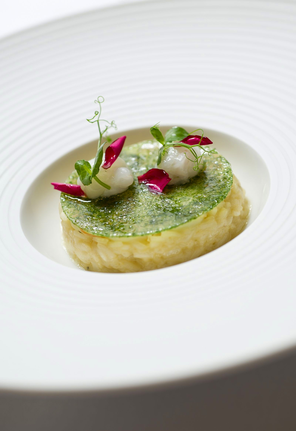 zagreb-15-05-2013-chef-kuhinje-hotela-esplanade-ana-grgic-3.bin