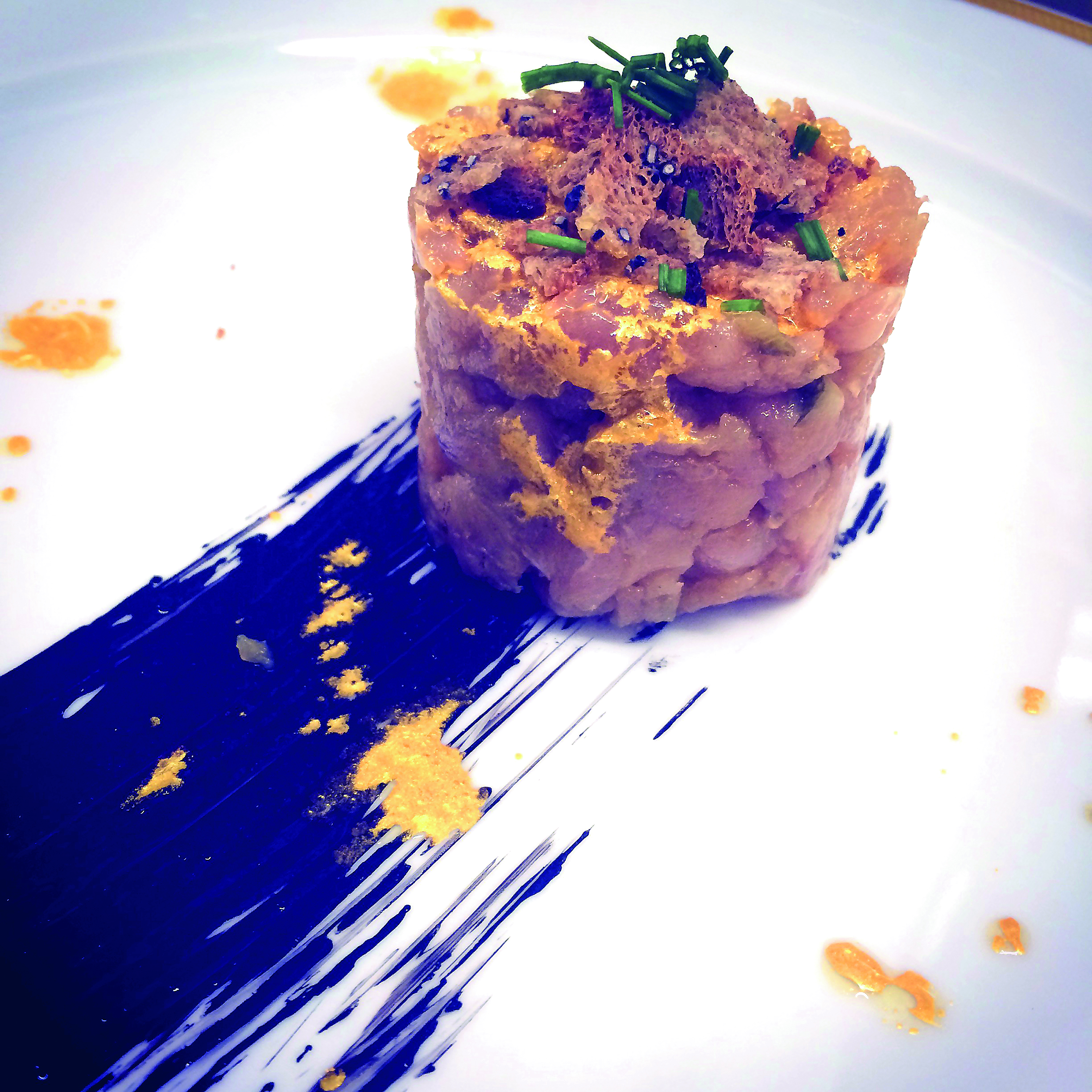 marina-novigrad-tatar-od-palamide.bin