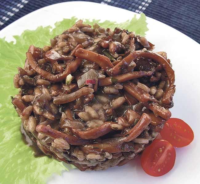 gall-rizot-od-liganja.bin