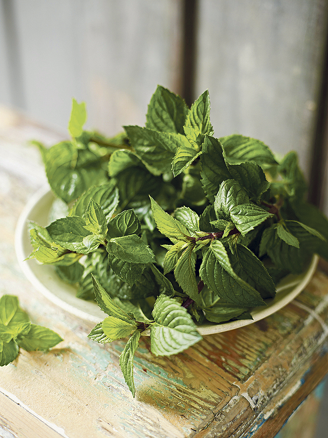 otvor-8-6-glavna-na-6-st.bin