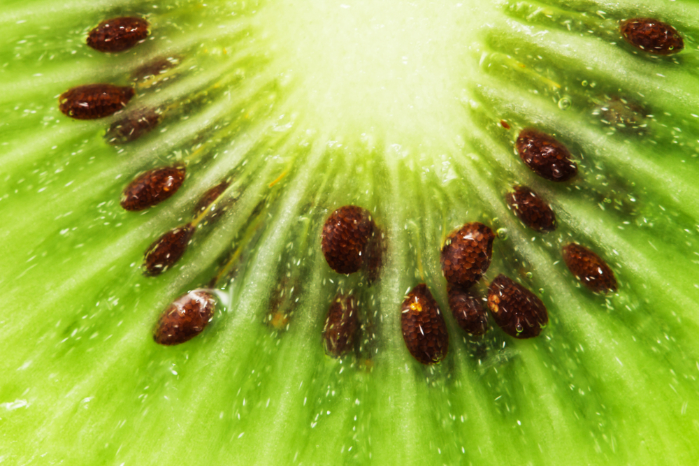 shutterstock_132001400.bin