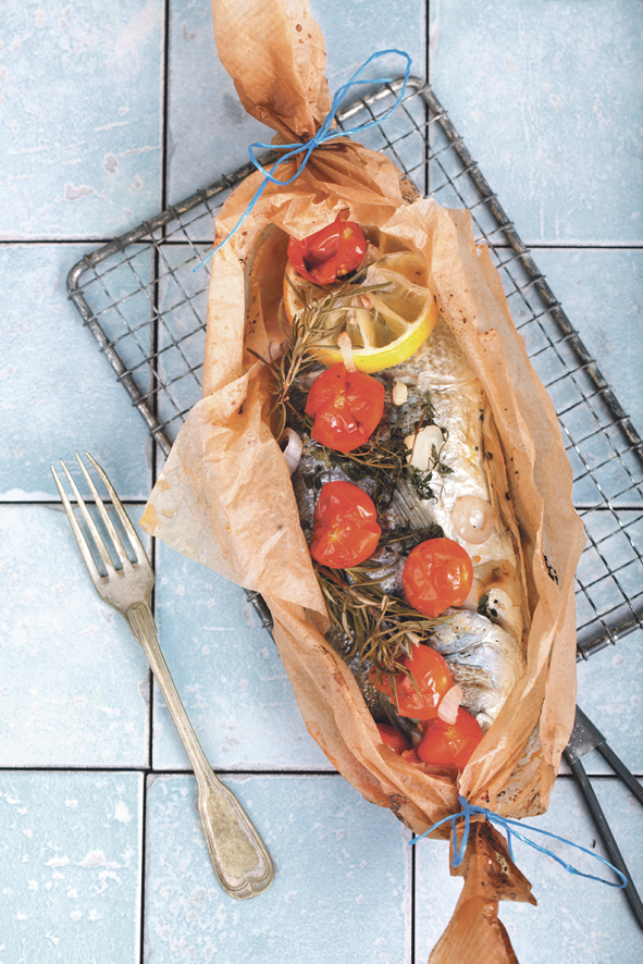 6-brancin-u-foliji.bin