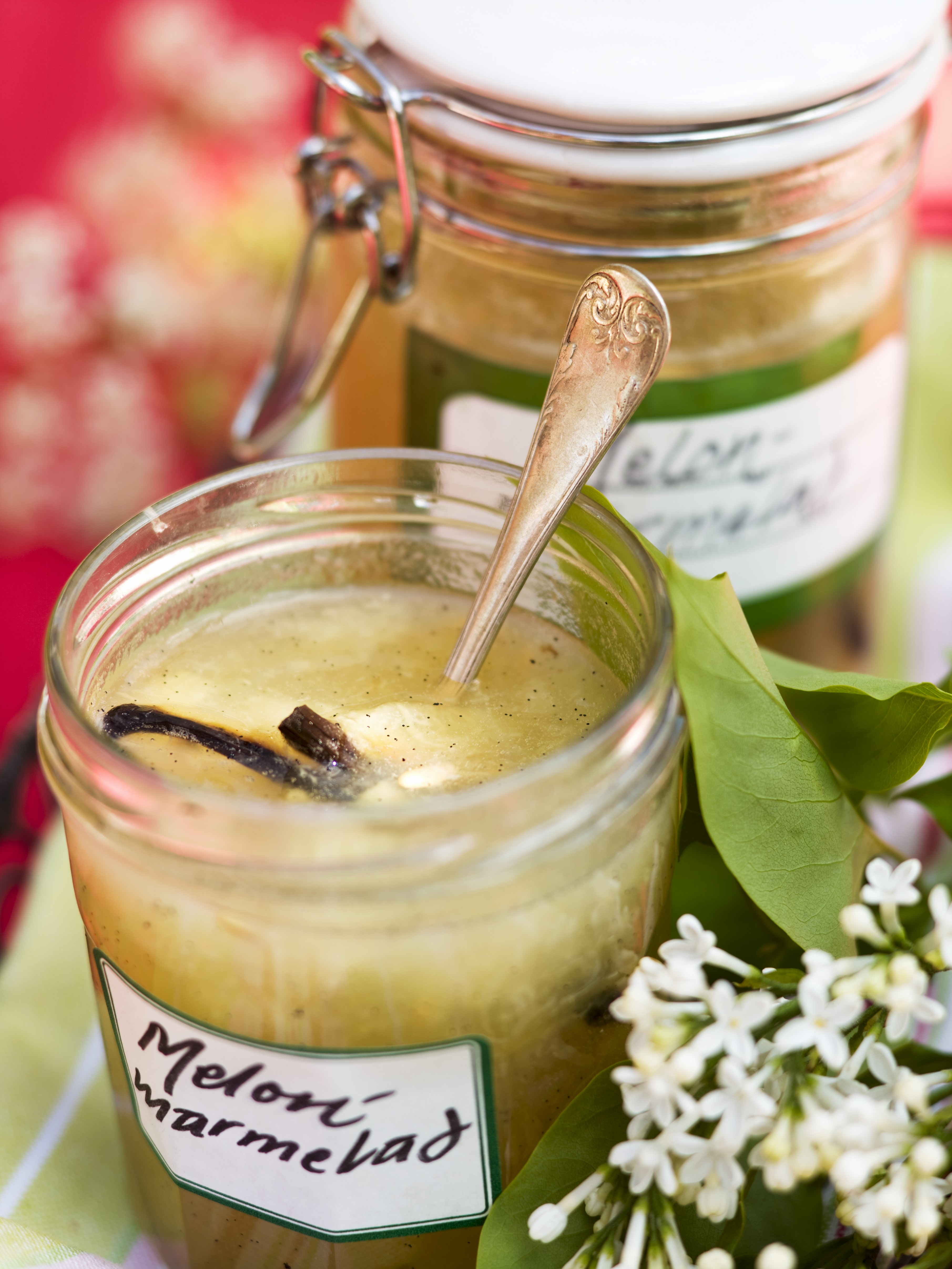 dinja-tem-27-7-6-st.bin