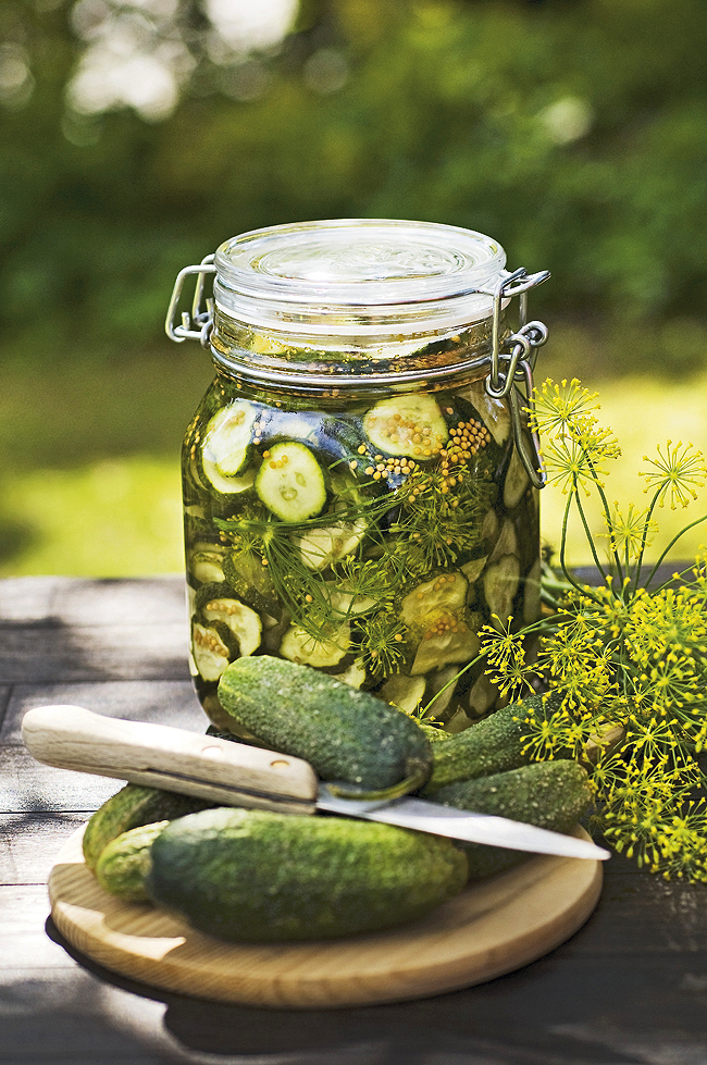 stockfood_11255392_hires.bin