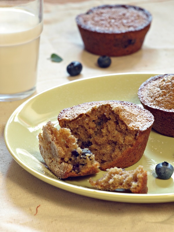 integralni-muffini-s-borovnicama.bin