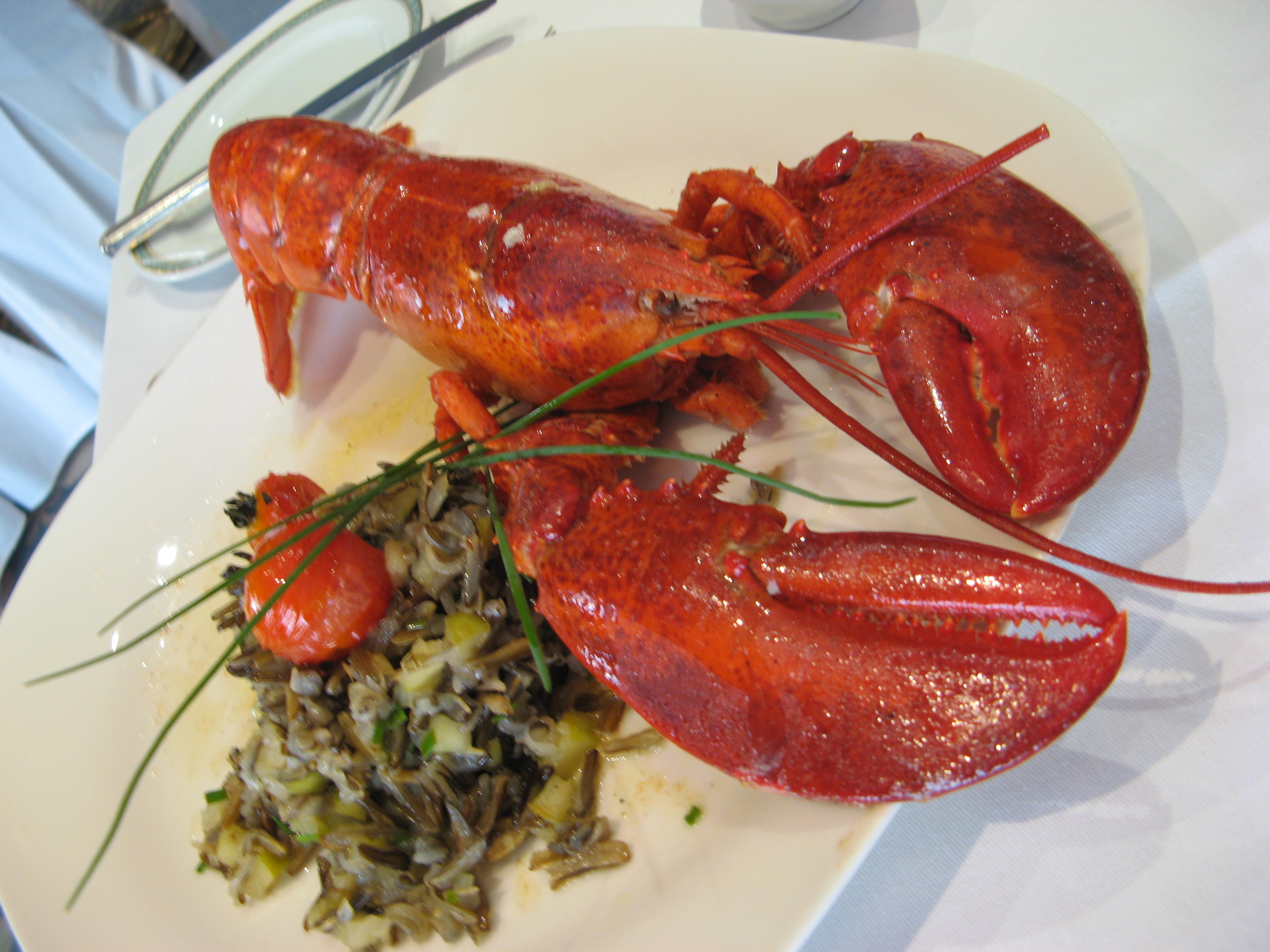 jastog-divlja-riza.bin