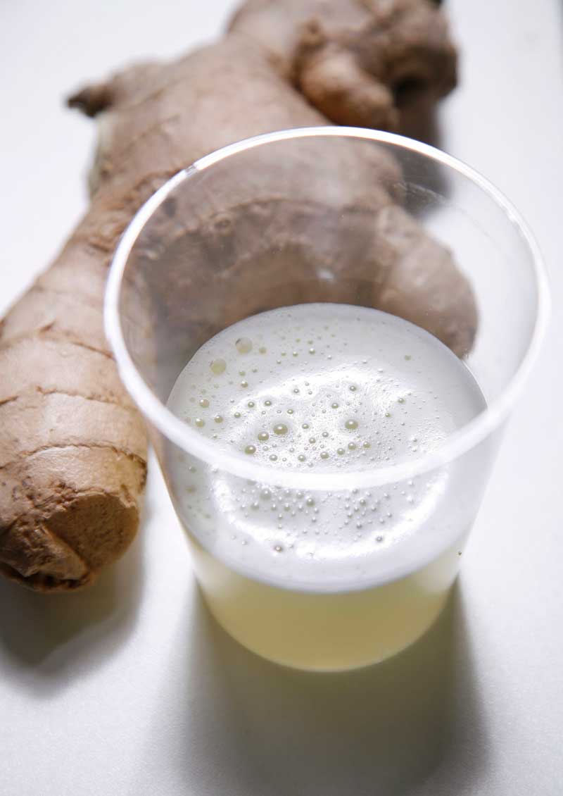 limunada-s-medom-i-dumbirom.bin