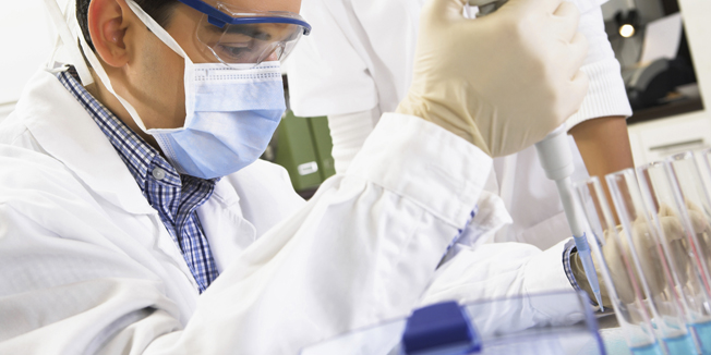 Working in the laboratory