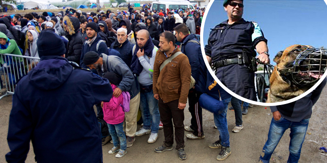 Opatovac, 201015.Oko tisucu izbjeglica, pod pratnjom policije, pjesice je stiglo iz Srbije preko granicnog prijelaza Berkasovo-Bapska.Put je dug sesnaest kilometara.Na fotografiji: izbjeglice cekaju na ulazak u kamp u Opatovcu.Foto: Vlado Kos / CROPIX