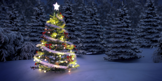 shiny Christmas tree before snow covered trees at night