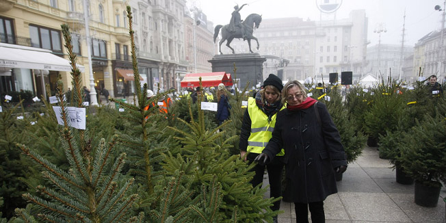 Zagreb, 191215.Trg bana Josipa JelacicaPovodom nadolazecih blagdana na glavnom zagrebackom trgu organizirana je humanitarna prodaja borova Caritasa i Hrvatskih suma.Foto: Ranko Suvar / CROPIX