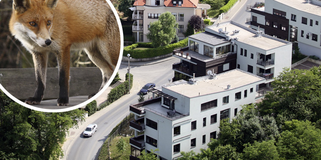 Zagreb, 210509.Zracni snimak, panorama Zagreba.Na slici: Gracani , podsljemenska zona.Foto: Josip Bistrovic / CROPIX