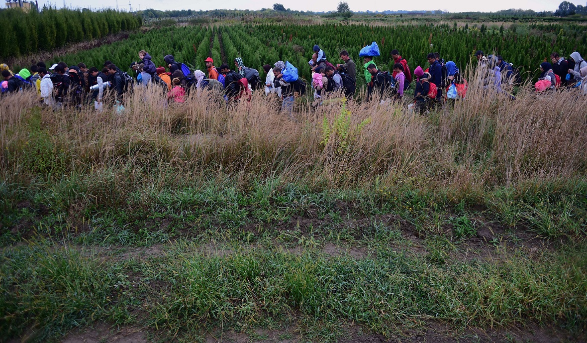 Police escort migrants through the countryside after they crossed the boarder near the village of Zakany in Hungary to continue their trip to Gemany in the early hours of September 20, 2015.  Croatia and Hungary have traded barbs on a national level, each pointing the finger at the other over their responses to Europe's escalating migrant crisis. AFP PHOTO / ATTILA KISBENEDEK