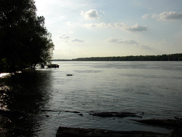 osijek, batina, 260505sarengradska ada, dunavfoto ivica rados-ned-