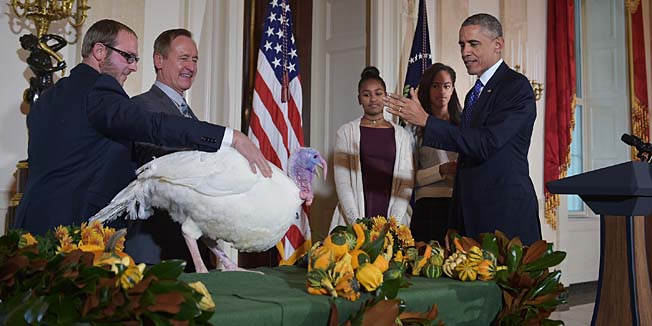 TOPSHOTSUS President Barack Obama pardons the National Thanksgiving Turkey 
