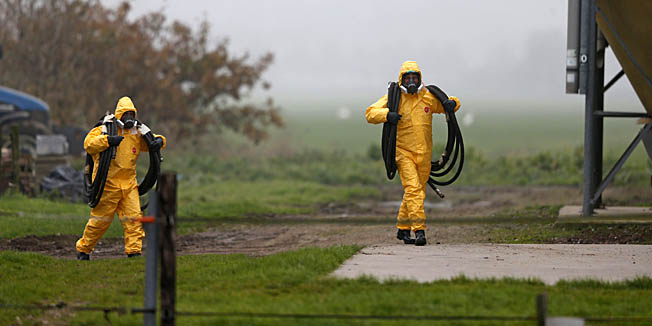 People in protective gear stands at the poultry farm in Zoeterwoude on November 30, 2014. Dutch authorities reported a new outbreak of bird flu Sunday on a western poultry farm, but could not say if it was the worrying new strain detected elsewhere in the country. 