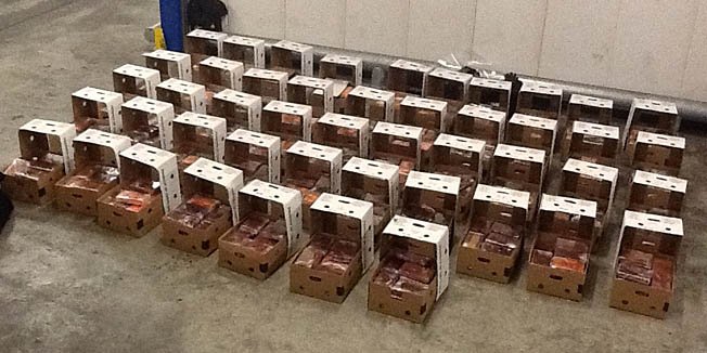 A photo taken on November 28, 2014 in Rotterdam and released on November 30, 2014 by the Dutch Public prosecutor shows part of the three tonnes of cocaine seized in Rotterdam harbour on November 28. Dutch customs officers confiscated over three tonnes of cocaine stashed in a container of cassava roots in Rotterdam harbour, the second largest haul to date for Europe's largest port, prosecutors said on November 30. AFP PHOTO / ANP HO / OPENBAAR MINISTERIE     - Netherlands out -RESTRICTED TO EDITORIAL USE - MANDATORY CREDIT 