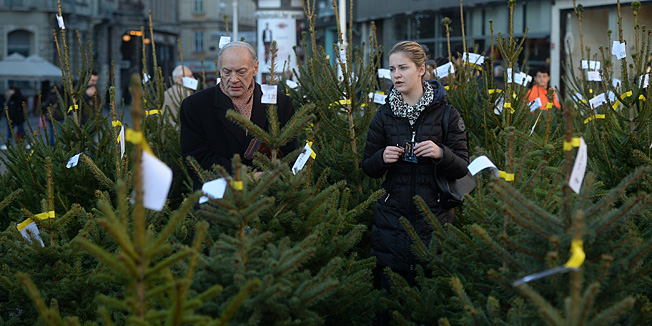 Zagreb, 201214. Trg Bana Jelacica.Tradicionalna humanitarna prodaja bozicnih drvaca na trgu Bana Josipa Jelacica koju organiziraju Hrvatski Caritas i Hrvatske sume u sklopu akcije Za 1000 radosti - Sve je moguce.Foto: Goran Mehkek / CROPIX