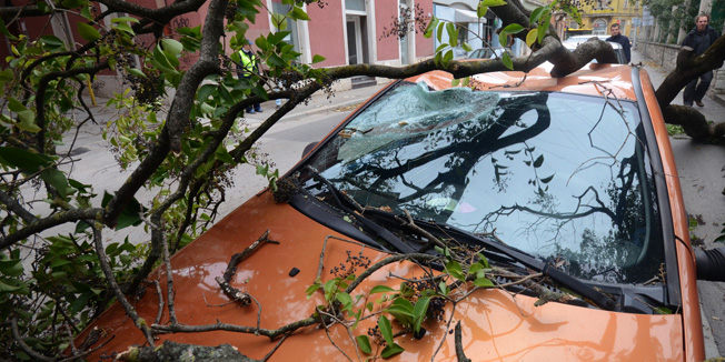 Pula, 111113.Zbog naleta bure u Anticovoj je ulici u Puli neposredno uz zgradu Doma hrvatskih branitelja popucalo jedno od stabala te je preko ograde Doma branitelja palo na parkirano vozilo. Pozvani su djelatnici Pulaparkinga u cijoj je nadleznosti parkirno mjesto i policija kako bi se utvrdila steta te vatrogasci koji ce ukloniti vozilo.Foto: Andreas Kancelar / CROPIX 