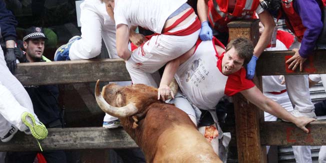 A participant is hurled up against a barrier by a Miura bull after being gored in the thigh during the last bull-run of the San Fermin Festival in Pamplona, northern Spain on July 14, 2014. The festival is a symbol of Spanish culture that attracts thousands of tourists to watch the bull runs despite heavy condemnation from animal rights groups.  AFP PHOTO / INAKI VERGARA
