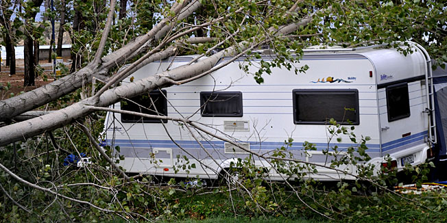 Rab, 071011.Auto kamp Lopar.Popodnevno pogorsanje vremena na otoku Rabu praceno jakom burm i kisom pogodilo je i auto kamp u Loparu. Kamp je na srecu trenutno zatvoren, pa je zabiljezena samo materijalna steta. Na slici: stabla iscupana uslijed nevremena u auto campu u Loparu.Foto: Goran Novotny / CROPIX