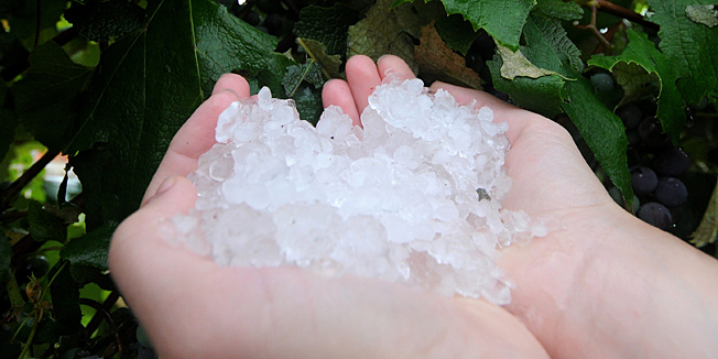 Karlovac, 140814.Jako grmljavinsko nevrijeme s tucom i s jakom kisom protutnjalo je jutros karlovackim podrucjem.Na fotografiji: Ostaci leda.Foto: Robert Fajt / CROPIX