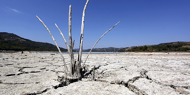 Pican, 210812.Dugotrajna susa u Istri rezultirala je susenjem vocaka vinograda te isusivanjem potoka no i jezera Butoniga iz kojeg se vodom snadbjeva vecina Istre. Vec 4 tjedna je na snazi Odluka o ogranicenju koristenja vode za potrebe javne vodoopskrbe te redukciji vode. Zabranjeno je tako zalijevanje javnih i privatnih povrsina, pranje vozila i poslovnih gradjevina, navodnjavanje poljoprivrednih povrsina, tj. sve ono sto nije nuzno. No ako ubrzo ne padne kisa uvest ce se dodatne mjere, odnosno redukcije vode drugog i treceg stupnja. Foto: Srecko Niketic / CROPIX