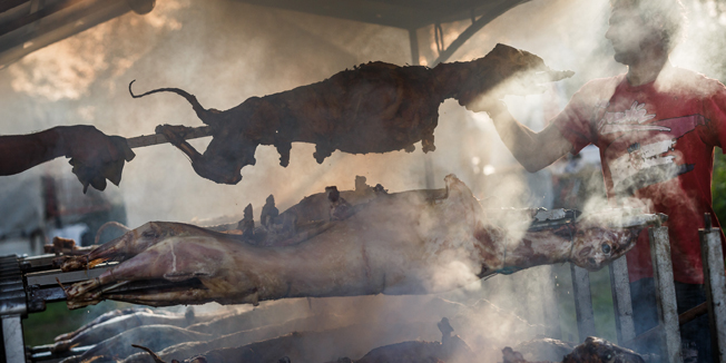 Cavoglave, 050814. Proslava Dana pobjede i domovinske zahvalnosti u organizaciji Marka Perkovica Thompsona i njegovih prijatelja, odrzava se 11. godinu zaredom u Cavoglavama. Cijeli dan odrzava se kulturno- umjetnicki i sportski program. Na fogorafiji: janjetina na raznju.Foto: Zvonimir Barisin / CROPIX