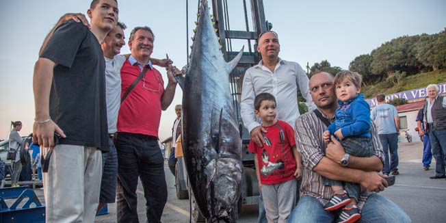Pula, 300914.Danas je u sklopu Big game fishing slobodnog lova na trofeje Franko Cerin iz Pule ulovio tunu od 153 kg. Brojni znatizeljnici i slucajni prolaznici imali su priliku vidjeti  ovaj kapitalni primjerak tune zutih peraja te prisustvovati vaganju.Na fotografiji: Franko Cerin s drustvom pored kapitalnog ulova.Foto: Danijela Peracic / CROPIX