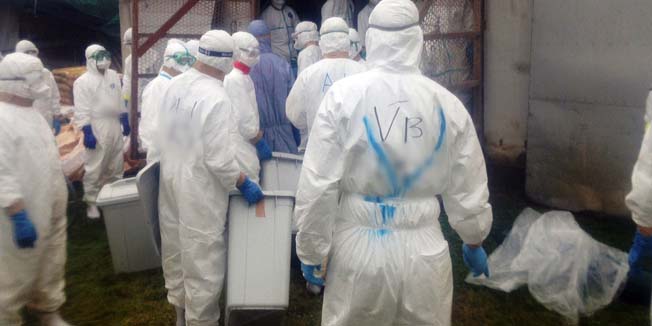 Workers wearing protective siuts enter chicken farm in Taragi town, Kumamoto Prefecture, on April 13, 2014. Japan ordered the slaughter of some 112,000 chickens after officials confirmed bird flu infections at a poultry farm in the southern town.   AFP PHOTO/Jiji Press      JAPAN OUT