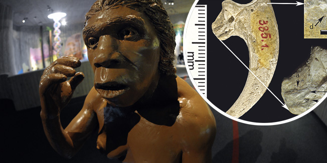 Krapina, 080210.Novi Muzej krapinskog pracovjeka zavrsen je na svjetski poznatom lokalitetu Husnjakovo u Krapini. Krapinski je pracovjek proslavio hrvatsku znanost diljem svijeta.Na slici: izlozak u muzeju.Foto: Damir Krajac / CROPIX