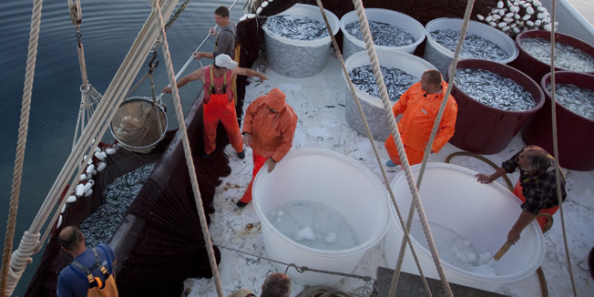 Akvatorij Dugog Otoka, 160613 .Reportaza sa plivarice 