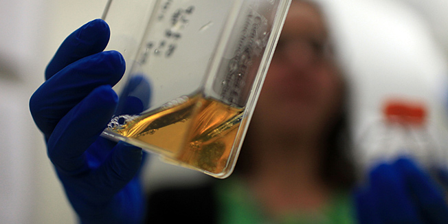 FARMINGTON, CT - AUGUST 27: Kristin Martins-Taylor holds up a container with stem cells at the University of Connecticut`s (UConn) Stem Cell Institute at the UConn Health Center on August 27, 2010 in Farmington, Connecticut. UConn scientists and students have been recipients of federal grants for work using human embryonic stem cells and could be significantly affected by a federal court ruling that would limit funding for embryonic stem cell research. On August 23, U.S. District Judge Royce C. Lamberth issued a preliminary injunction in Washington, D.C., halting all federal funding for basic research into embryonic stem cell technology. Stem cell research is believed to offer great hope in finding treatments to many diseases and illnesses including heart attacks, strokes and spinal cord injuries.  (Photo by Spencer Platt/Getty Images) *** Local Caption *** Kristin Martins-Taylor