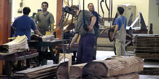 vinkovci,280206-pok-arhivapreradjivac drveta spacva kupuje najveceg hrvatskog izvoznika iz branse,export-drvo, detalji iz pogona spacvesnimio damir glibusic