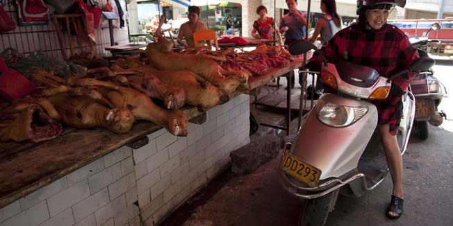 This picture taken on June 17, 2015 shows people talking before a stall that sells dog meat in Yulin, south China's Guangxi province. People from Yulin traditionally celebrate the solstice during midsummer on the longest day of the year by eating dog meat and lychee fruit, which draws criticism from animal rights activists.     CHINA OUT     AFP PHOTO