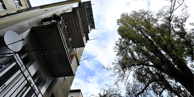 Zagreb, 141014. Jablan upitnog zdravlja star sezdesetak godina u dvoristu zgrada na adresi Vodnikova 5 i 7 koji je danas trebao biti srusen prema gradskoj odluci, ali je dio stanara to sprijecio blokiravsi ulaz komunalnim radnicima u dvoriste zgrade. Taj dio stanara tvrdi da jablan ne bi trebalo srusiti vec samo obrezati, a drugi dio tvrdi da bi ga trebalo srusiti jer s njega padaju suhe grane koje ugrozavaju zivote prolaznika ispod, a izmedju njihovih misljenja je danas arbitrirala i policija ciji su predstavnici zapisnikom utvrdili cinjenicno stanje.Foto: Boris Kovacev / CROPIX