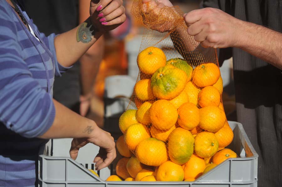 Zadar, 251014.Jutros su se na Seljackoj trznici Zadarske zupanije ispred trgovackog centra Supernova u sklopu akcije Neretvi za dar, mandarine prodavale za samo 3 kune po kilogramu. Ova akcija je pokrenuta kako bi se malim proizvodjacima mandarina olaksala prodaja, a kupcima na podrucju Zadarske zupanije osigurao pristup kvalitetnim i svjezim neretvanskim mandarinama. Foto: Luka Gerlanc / CROPIX