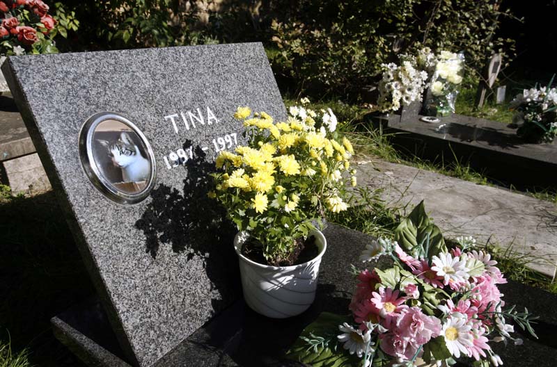 Rijeka, 311014.Groblje kucnih ljubimaca na Kozali jedno je od najstarijih u Europi, vjerojatno potjece s kraja 19. stoljeca. Iako ukopi vec godinama nisu dozvoljeni, groblje je i dalje veoma posjeceno, narocito na dan Svih svetih.Foto: Tea Cimas / CROPIX