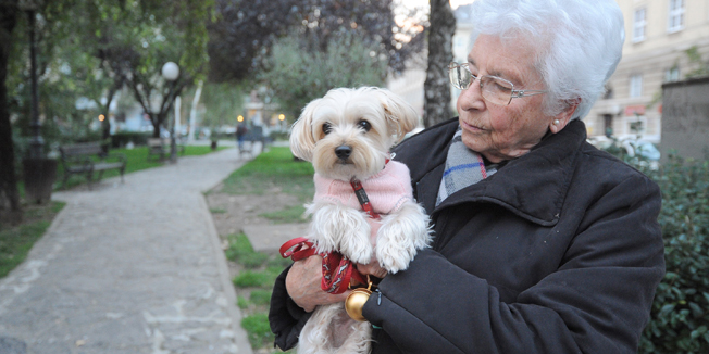 Zagreb, 291014.Trovanje pasa na potezu od Laginjine ulice do Dzamije, jedan od otrovanih pasa je uginuo.Na fotografiji: Ruth Dajc, Betty.Foto: Damir Krajac / CROPIX